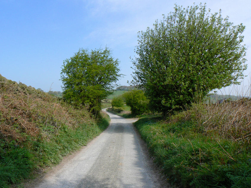 Longwalls Lane Longwalls Lane